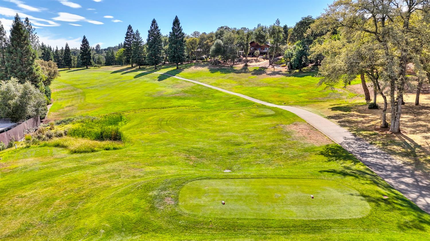 11667 Torrey Pines Drive