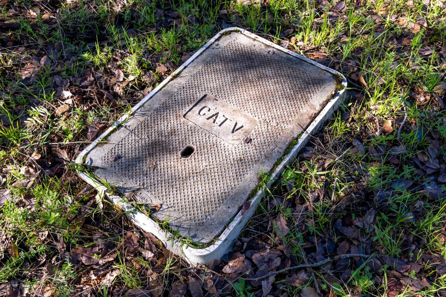 293 Leidesdorf Street