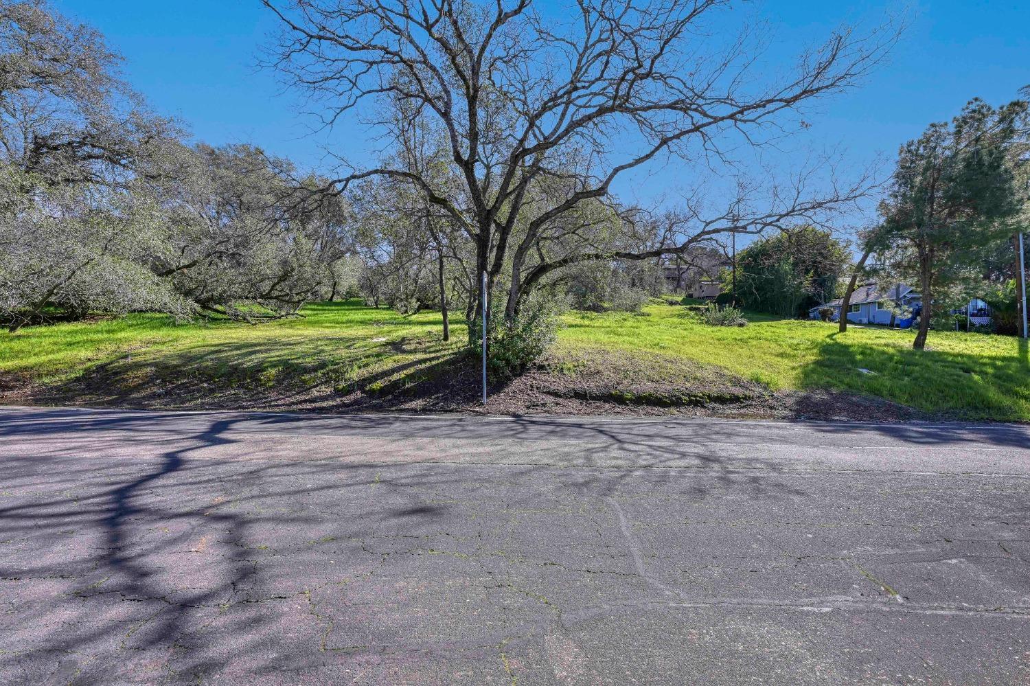 293 Leidesdorf Street