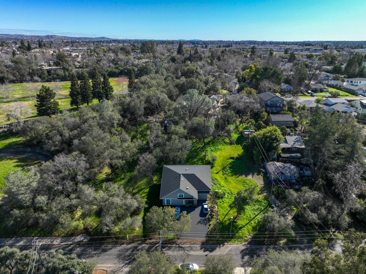 293 Leidesdorf Street