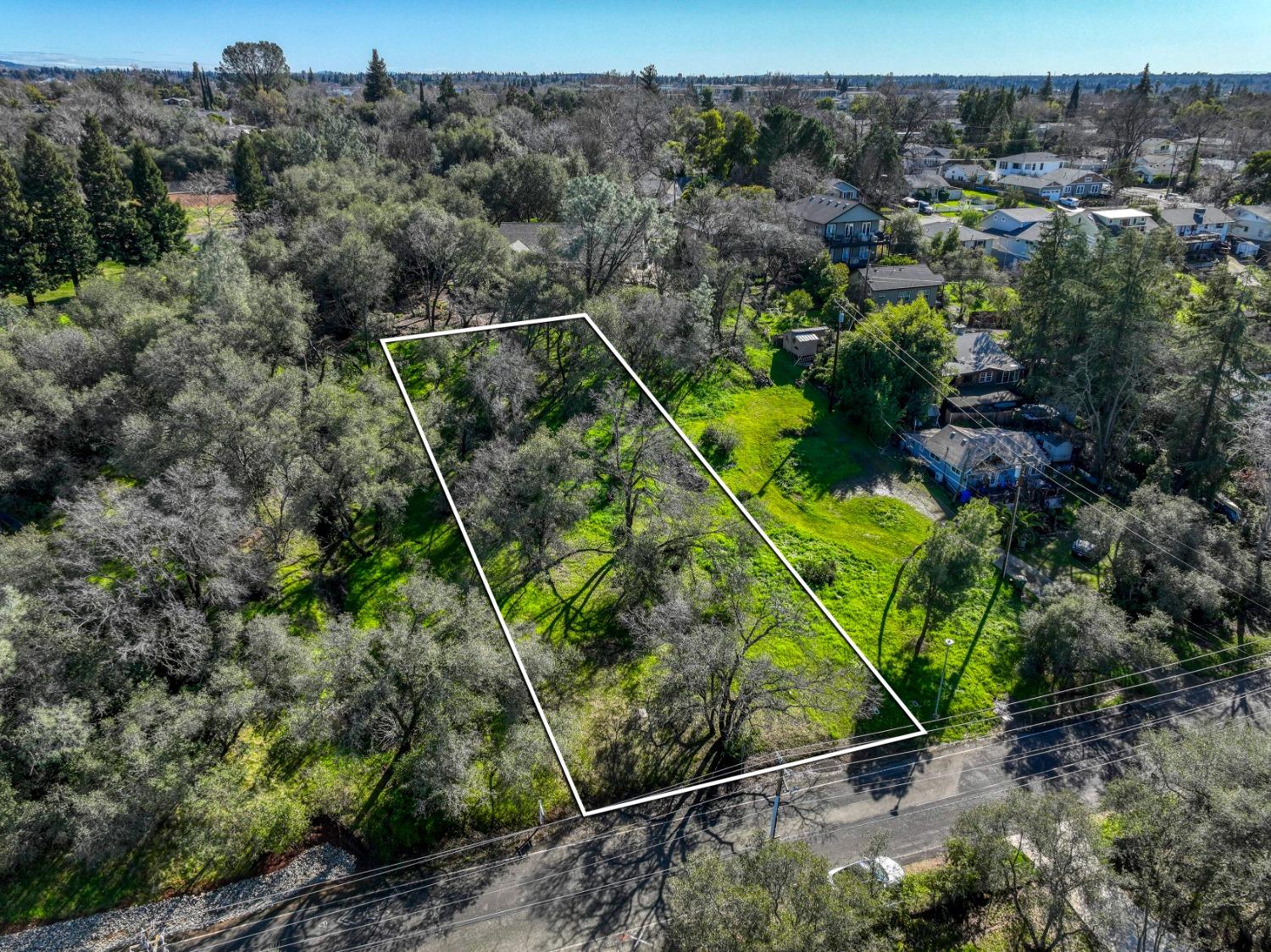 293 Leidesdorf Street