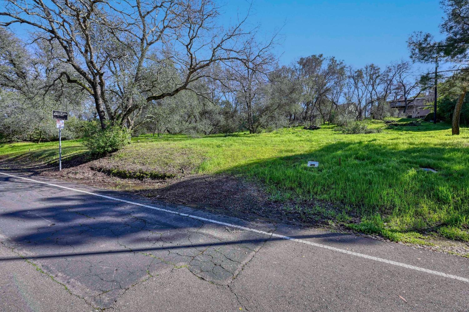 293 Leidesdorf Street