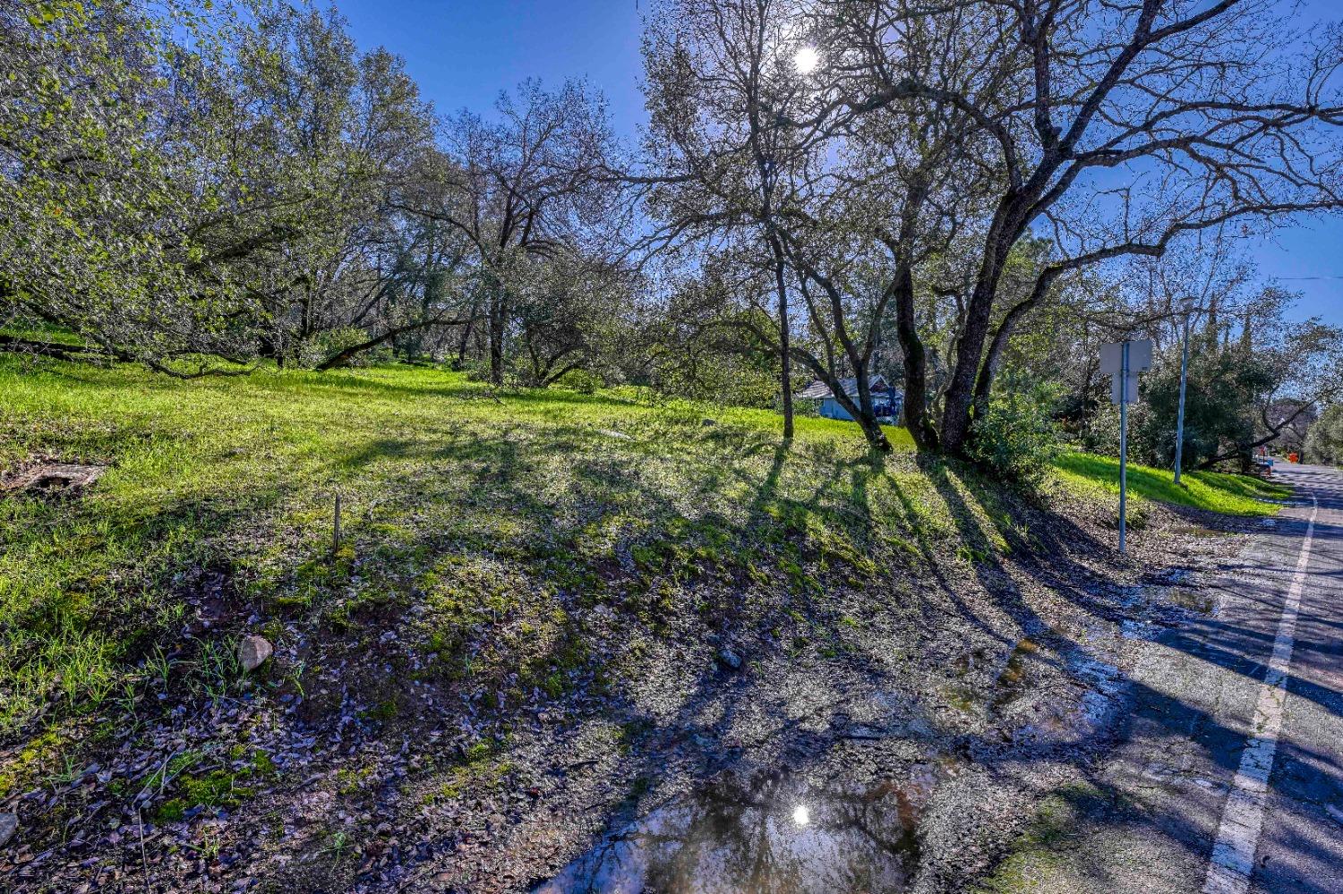 293 Leidesdorf Street