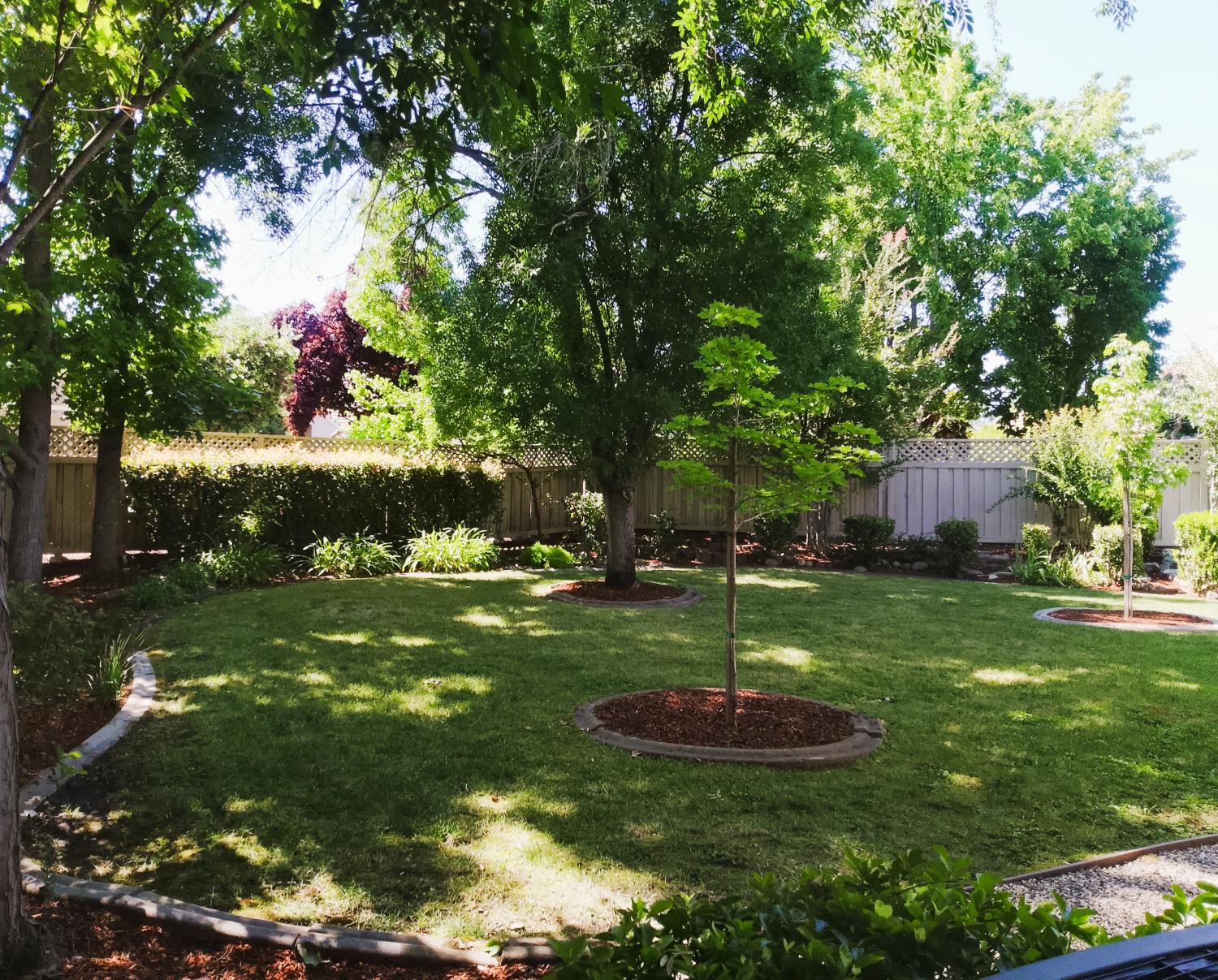 7365 Timberrose Way