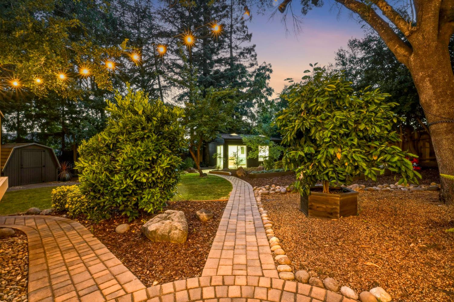 204 Oak Canyon Way