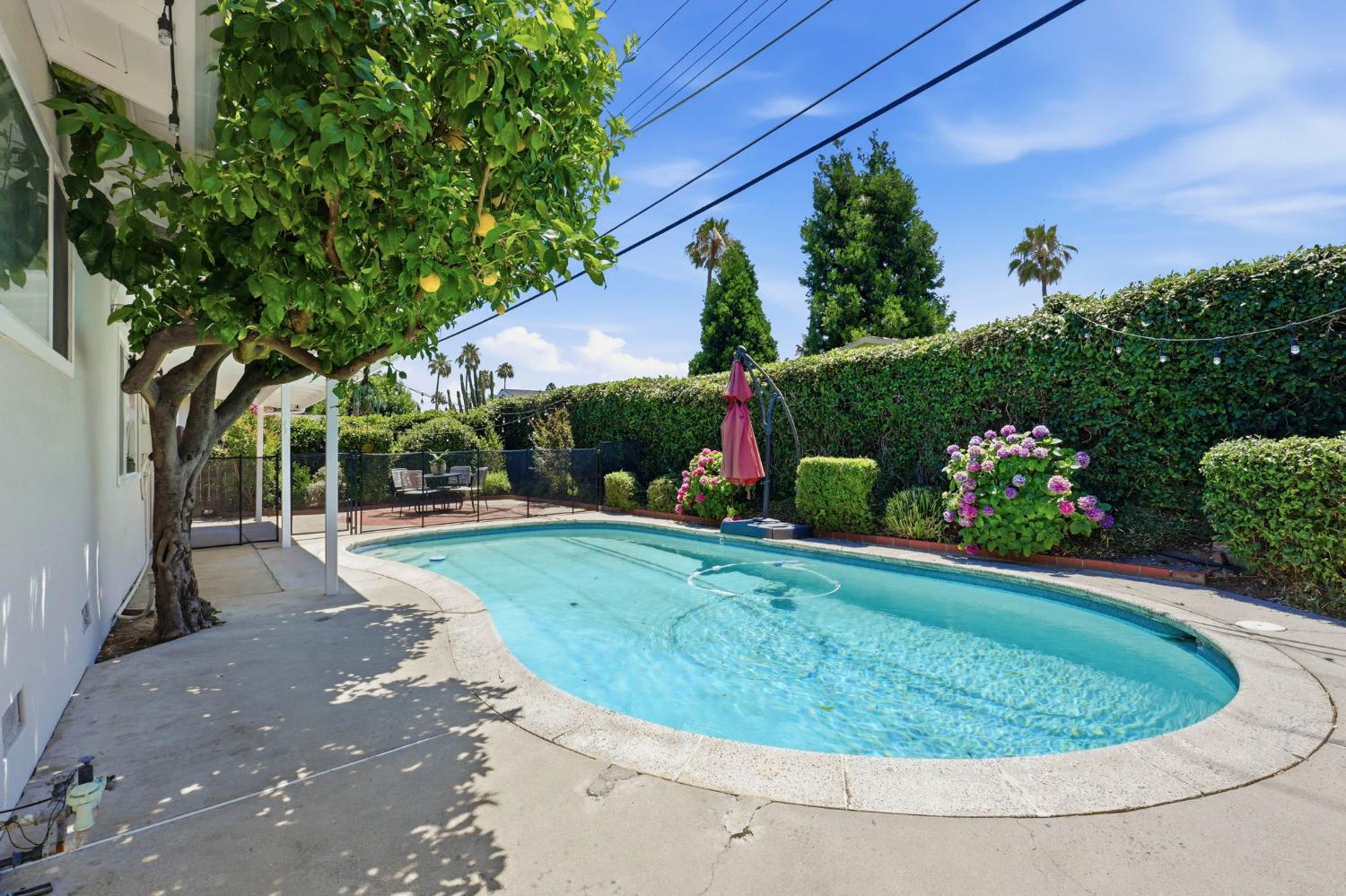 8222 Lake Forest Drive