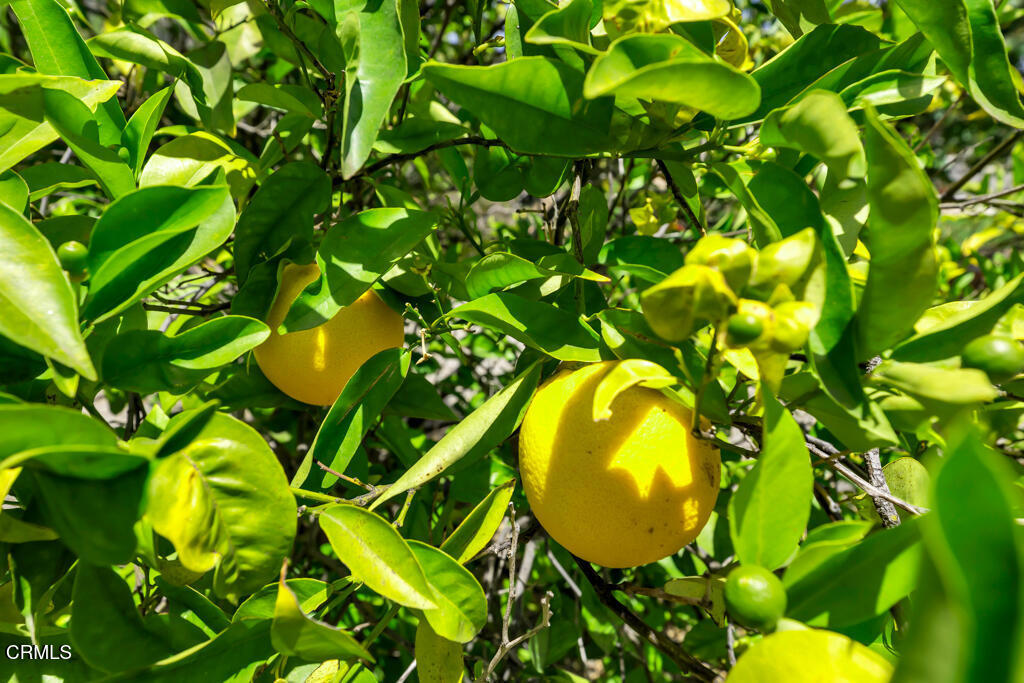 11395 Highridge Court