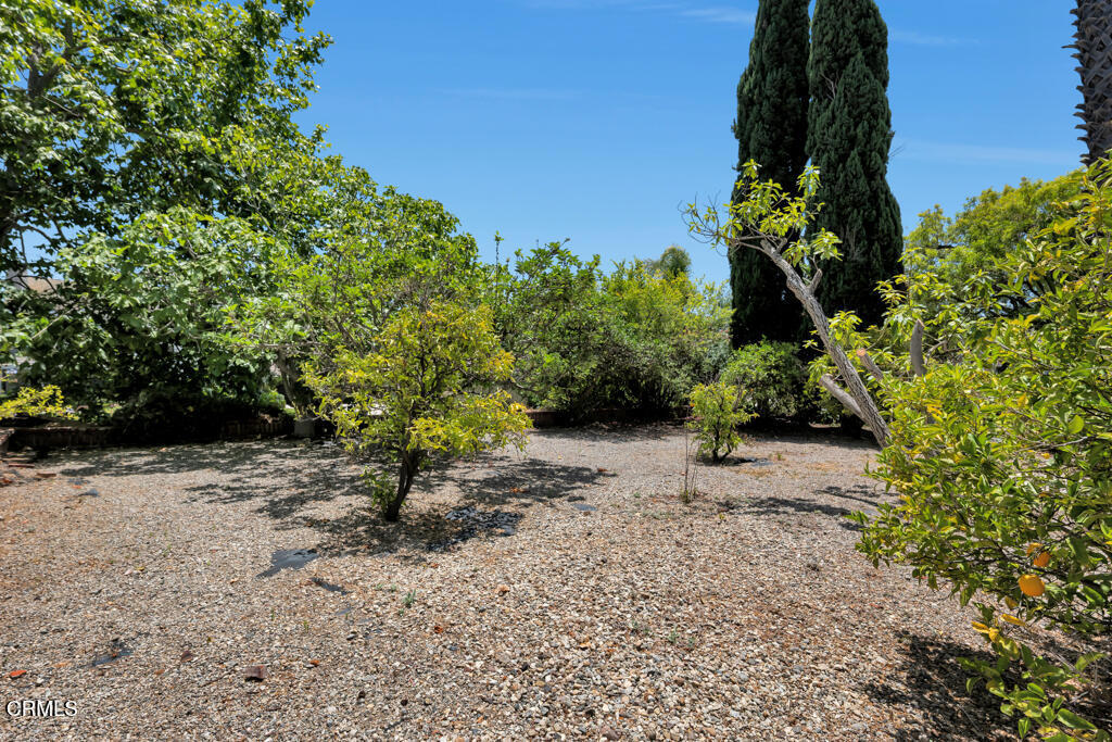 11395 Highridge Court