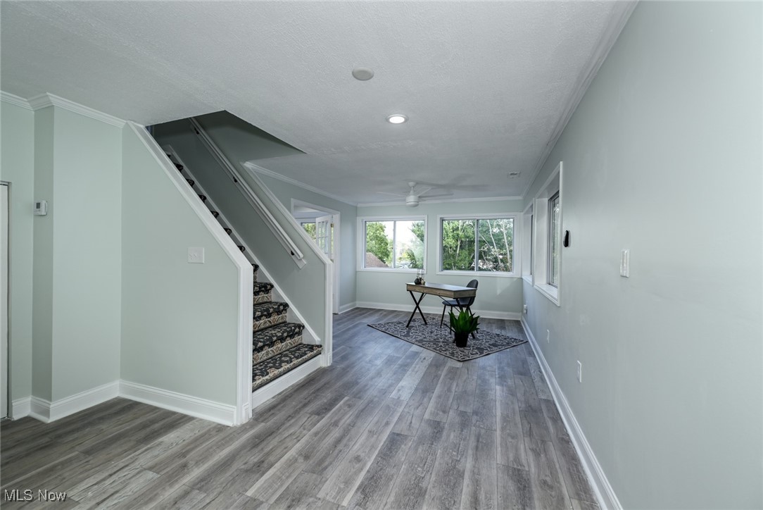 905 Shadybrook Drive