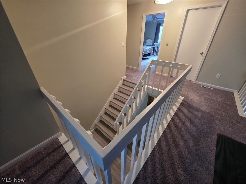 29 Lethbridge Lane