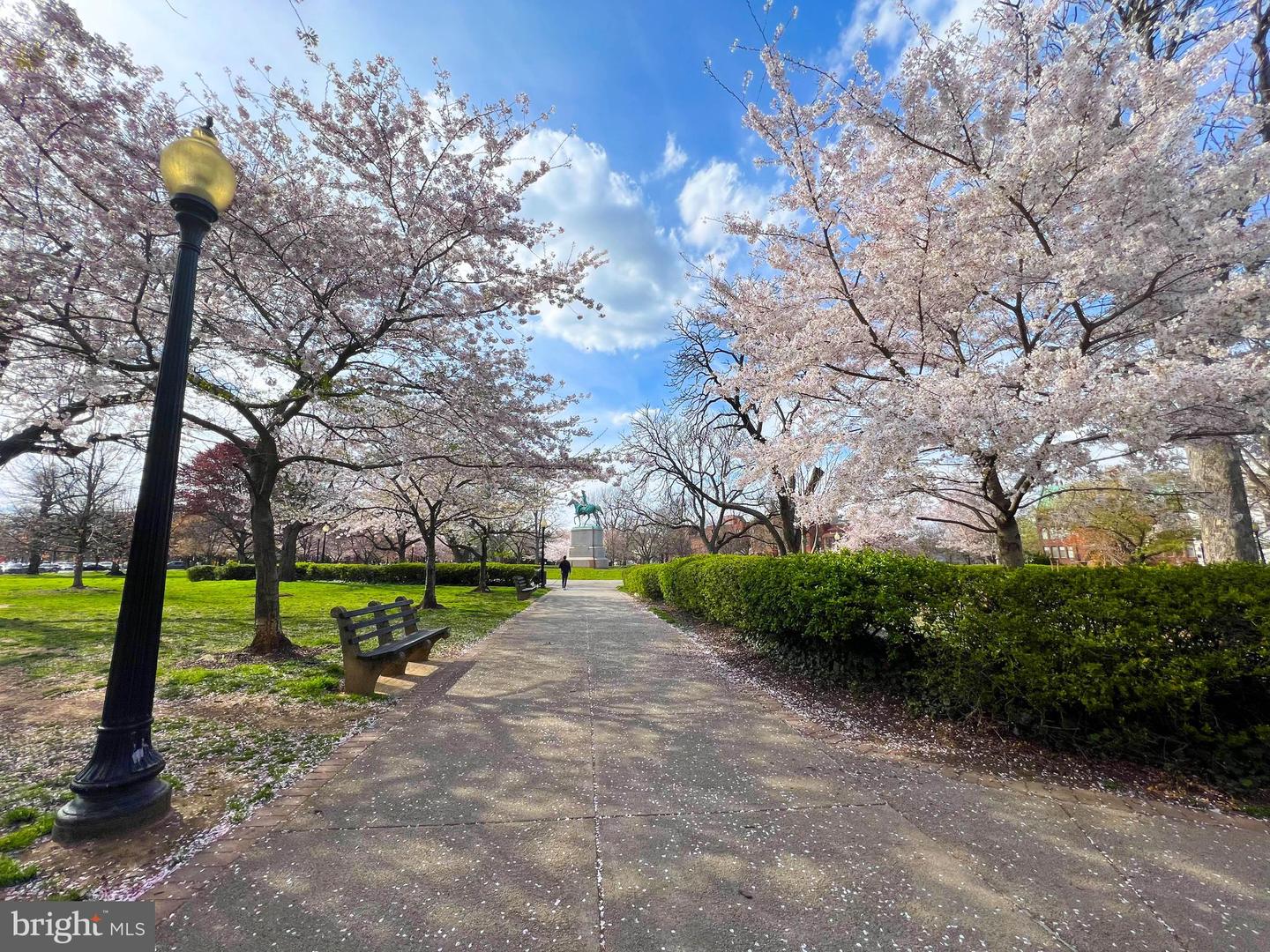 1020 Pennsylvania Ave SE #103