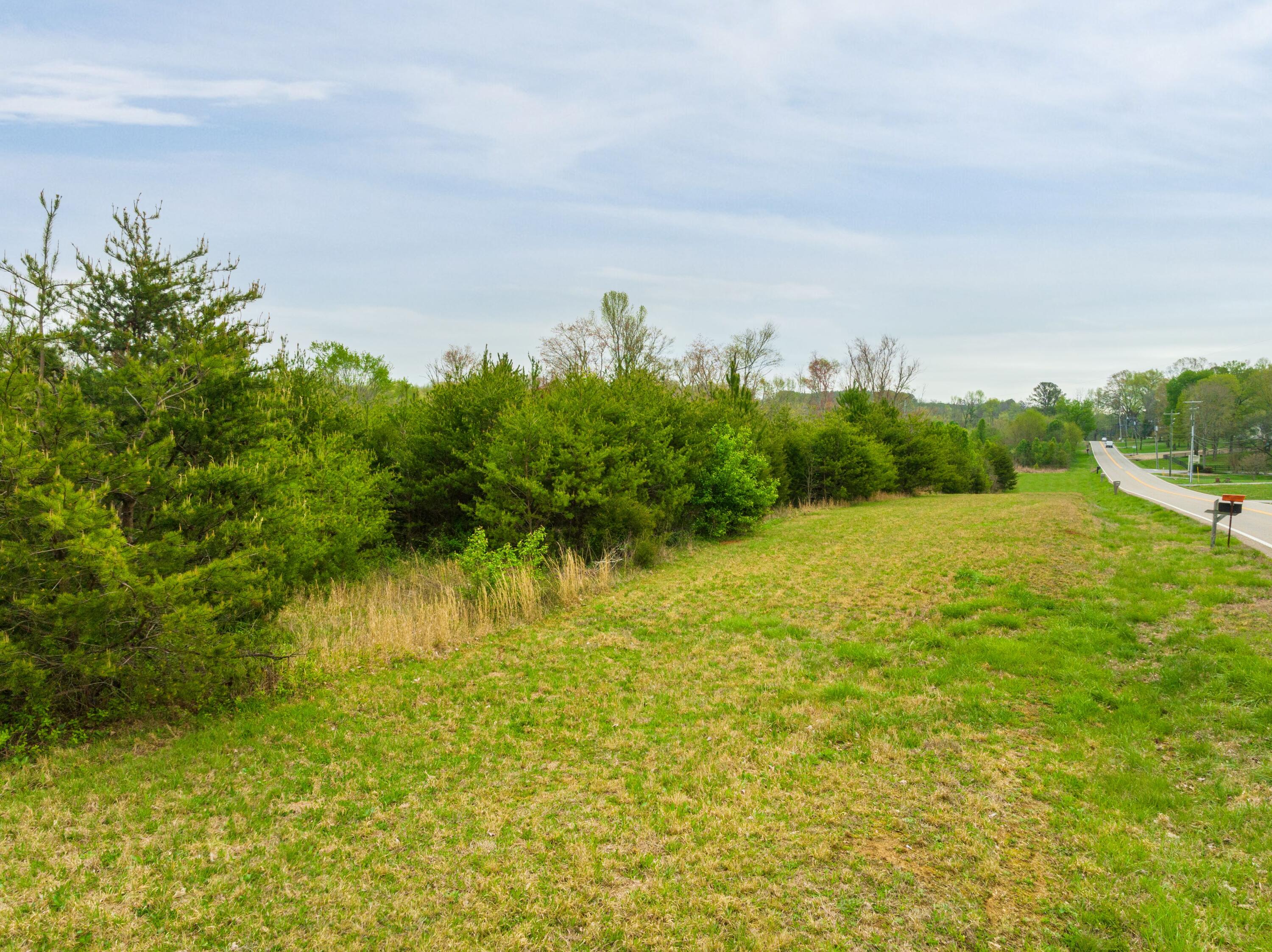 0 Highway 39, Lot 4