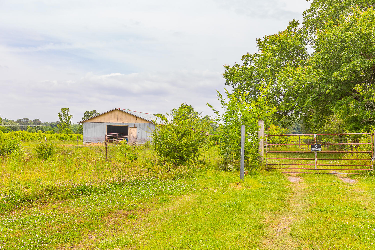 85 Charlie Walls Road