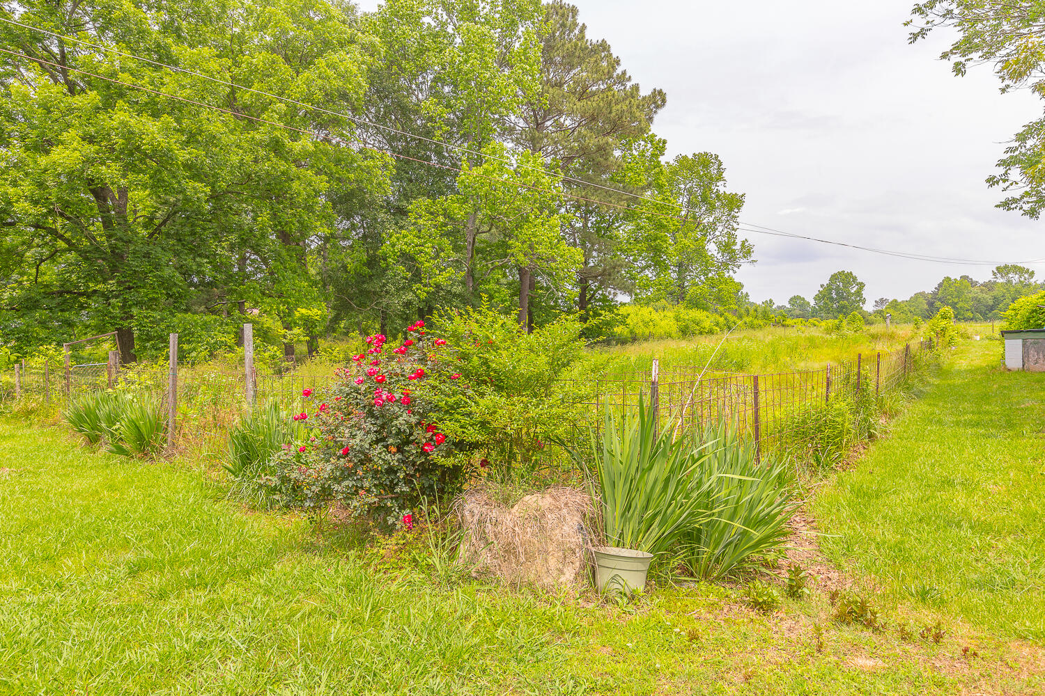 85 Charlie Walls Road