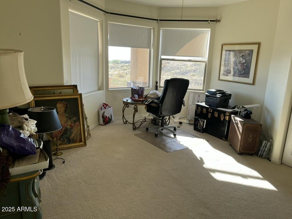 11519 E BLUE WASH Road