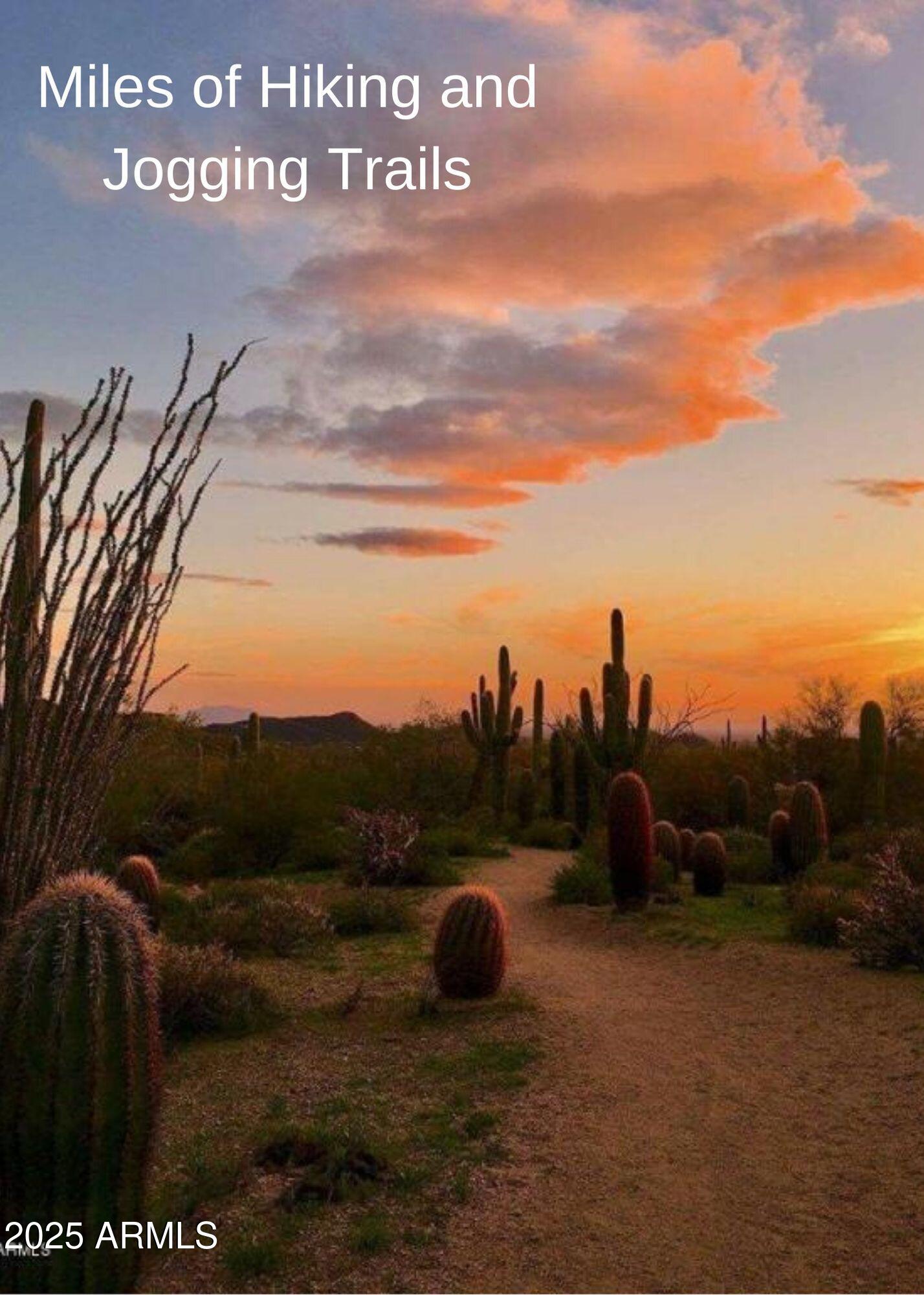 6894 E RUSSET SKY Drive