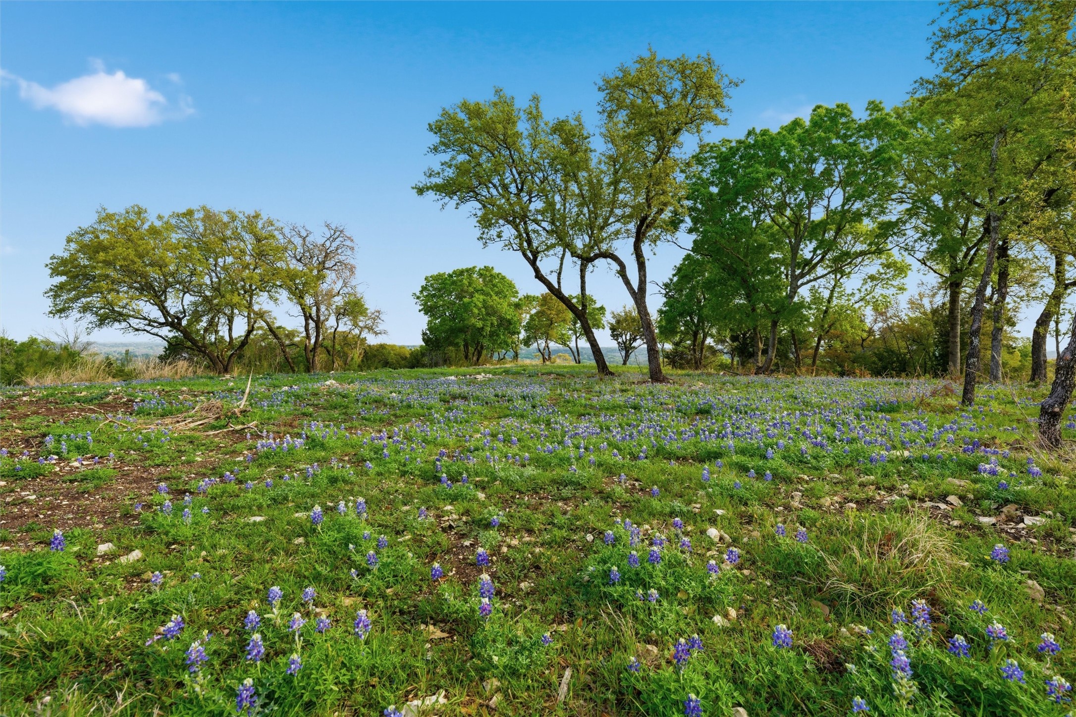 TBD River Rock Road