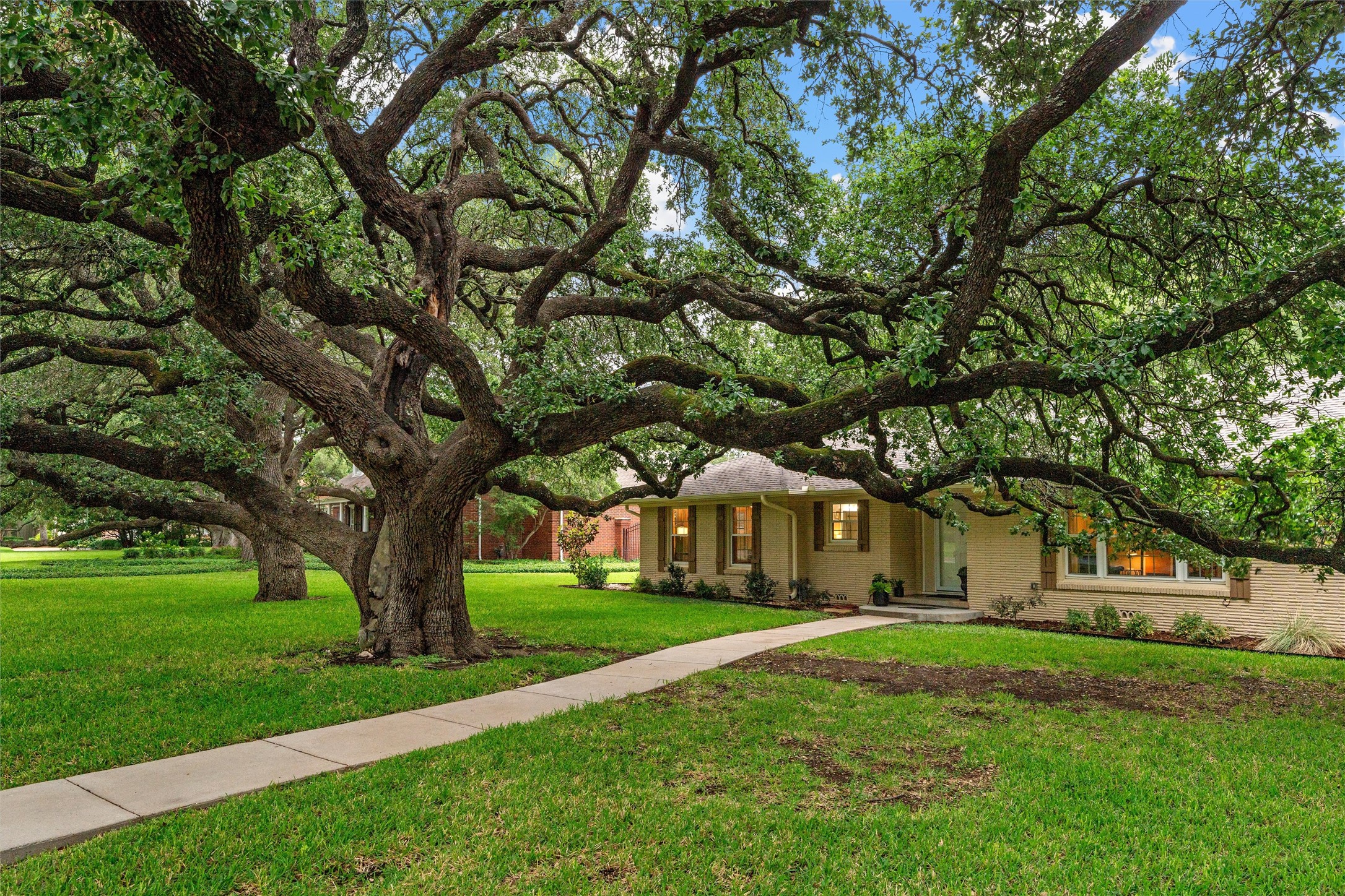 4901 Meadow Wood Drive