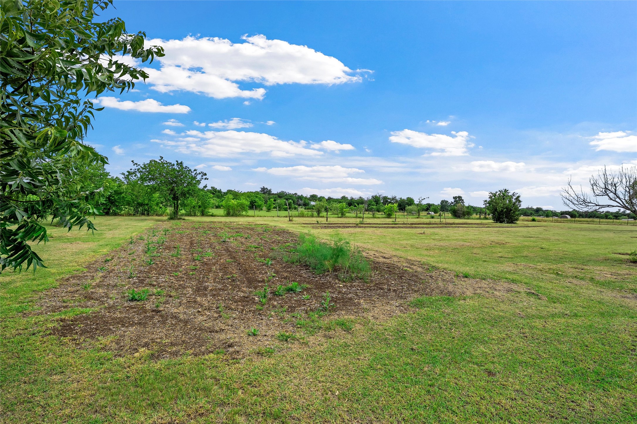 331 County Road 3440