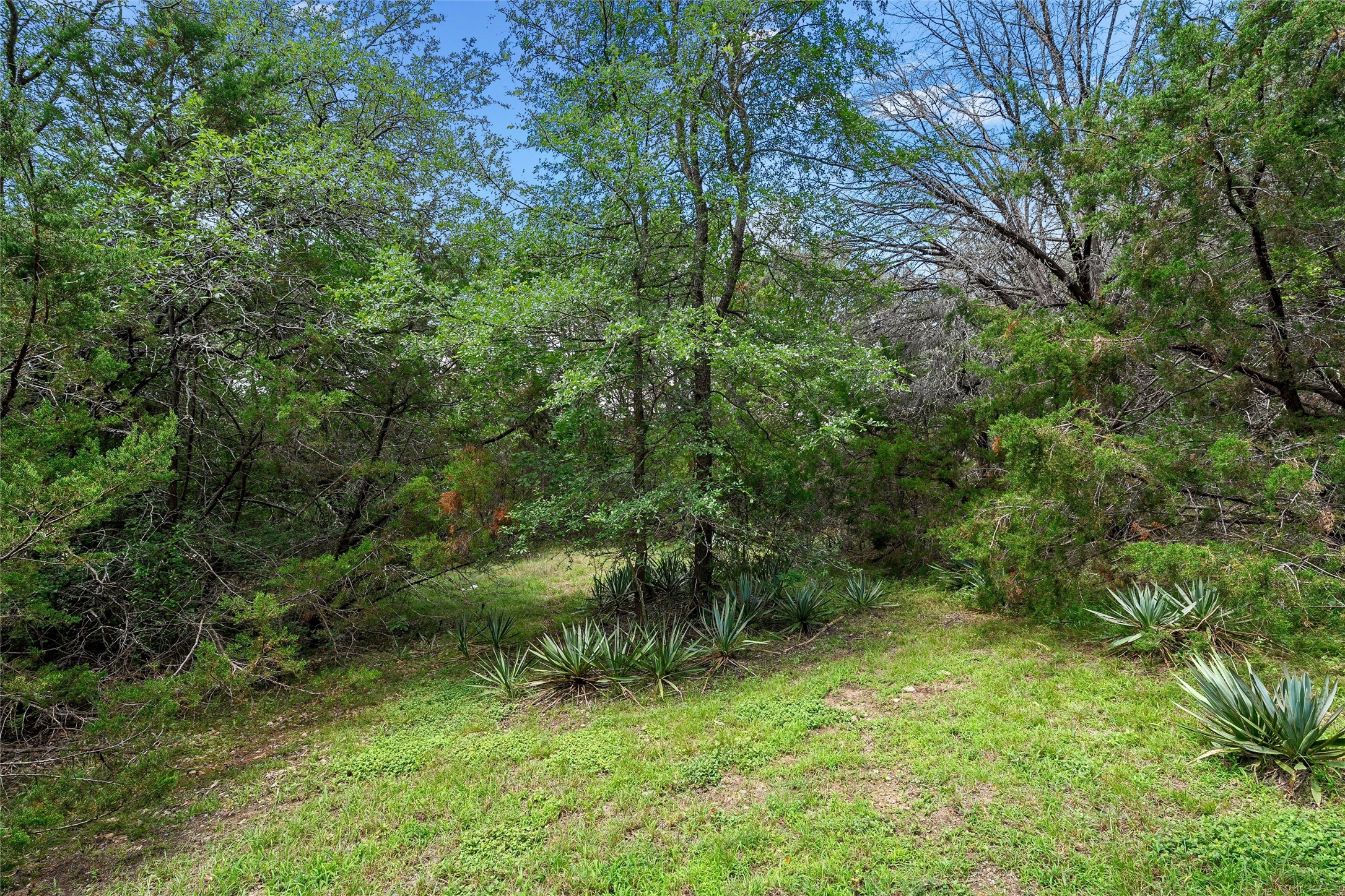 139 Cresthill Circle