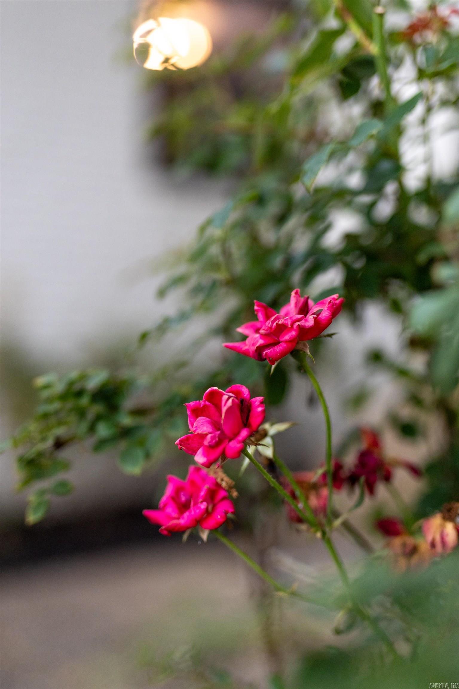 11328 Gila Valley Drive