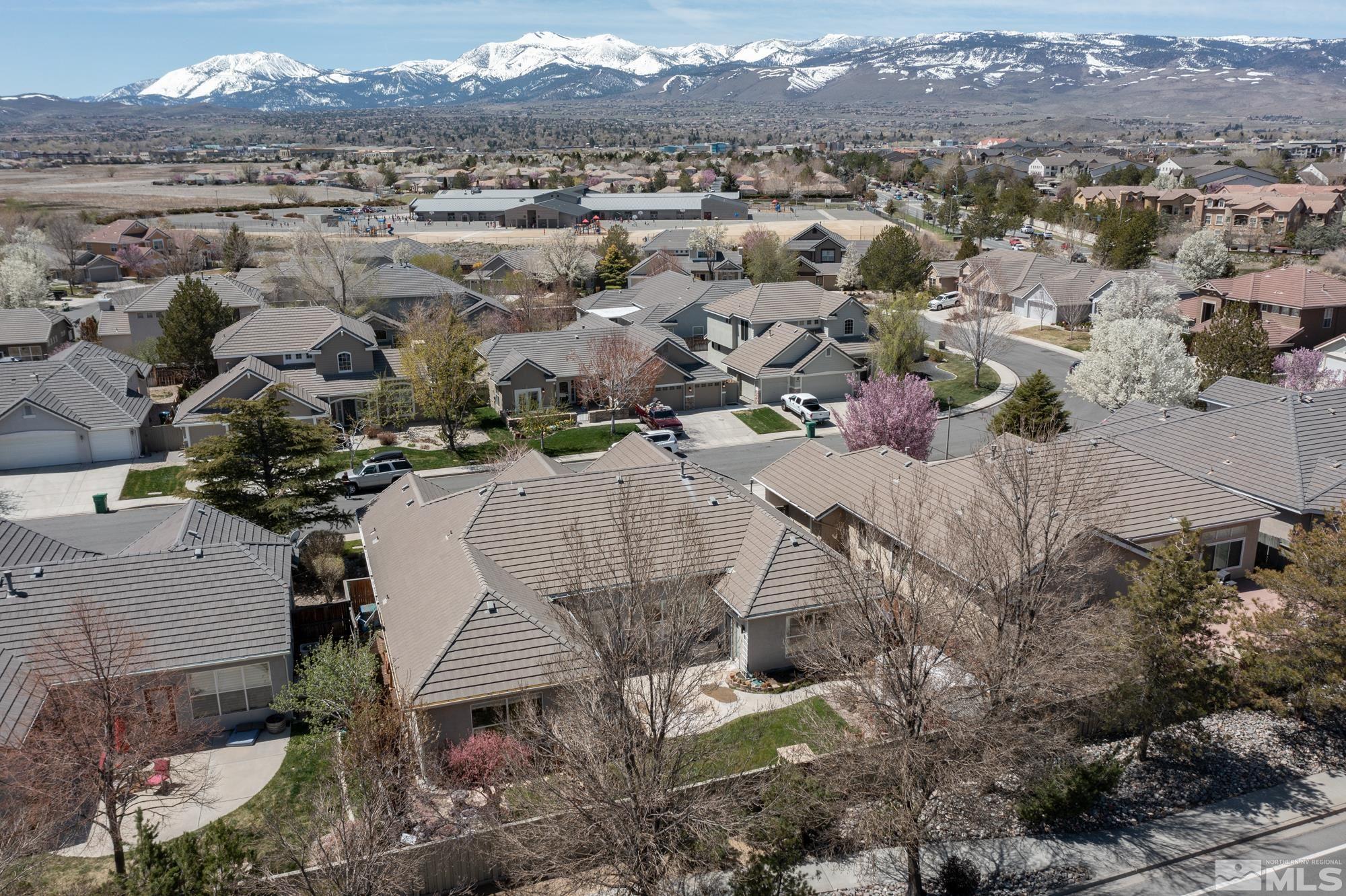 Aerial view of a Reno neighborhood with flowering trees and snow-covered mountains in the distance.