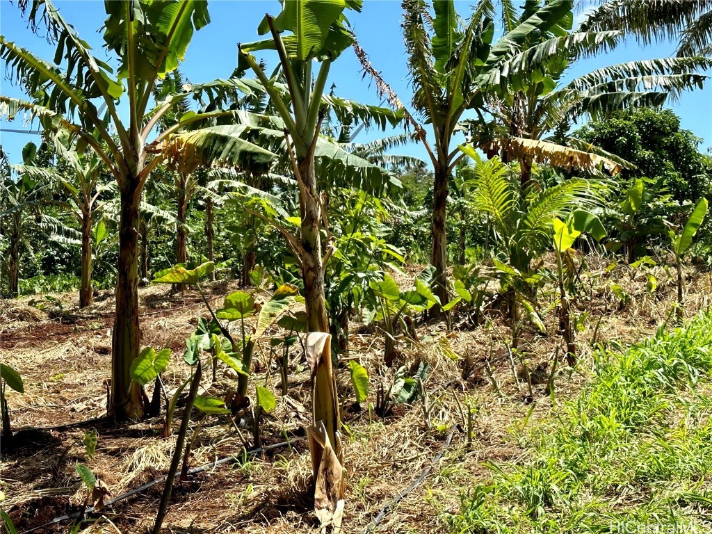 Lot 1 Plantation Road