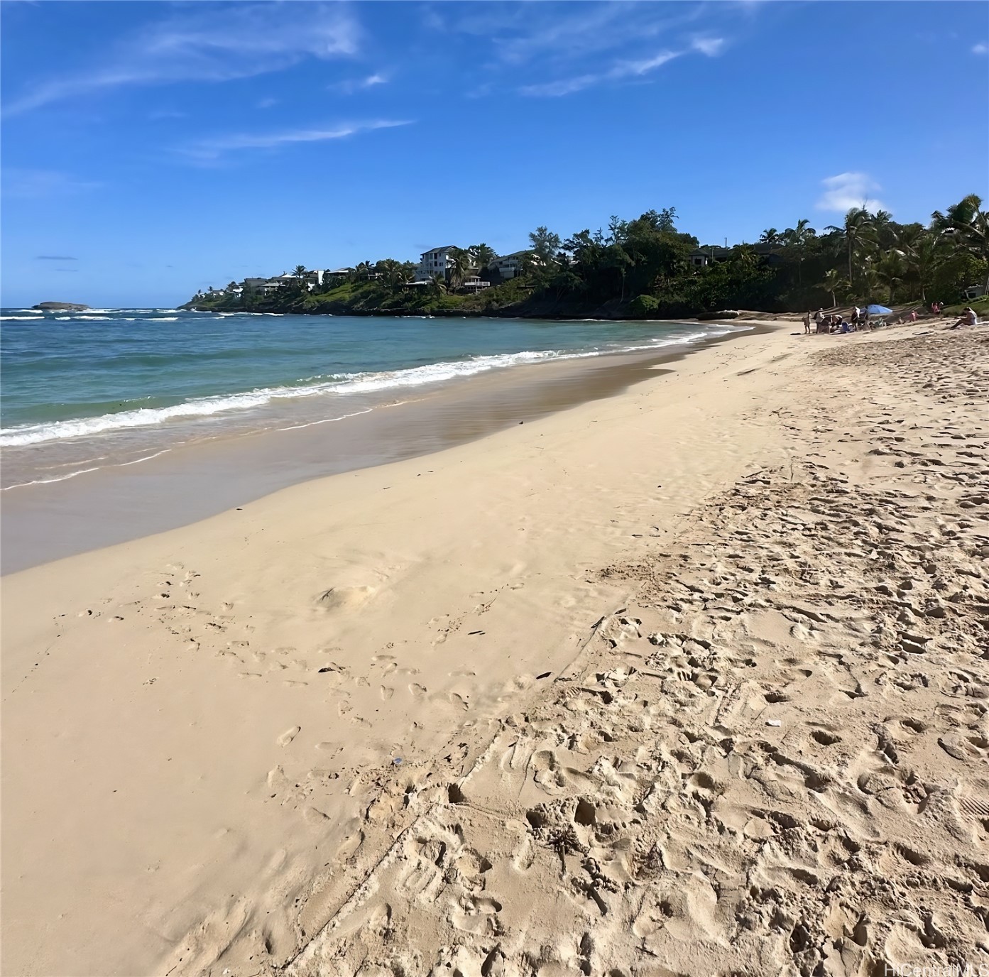 55-541 Kamehameha Highway