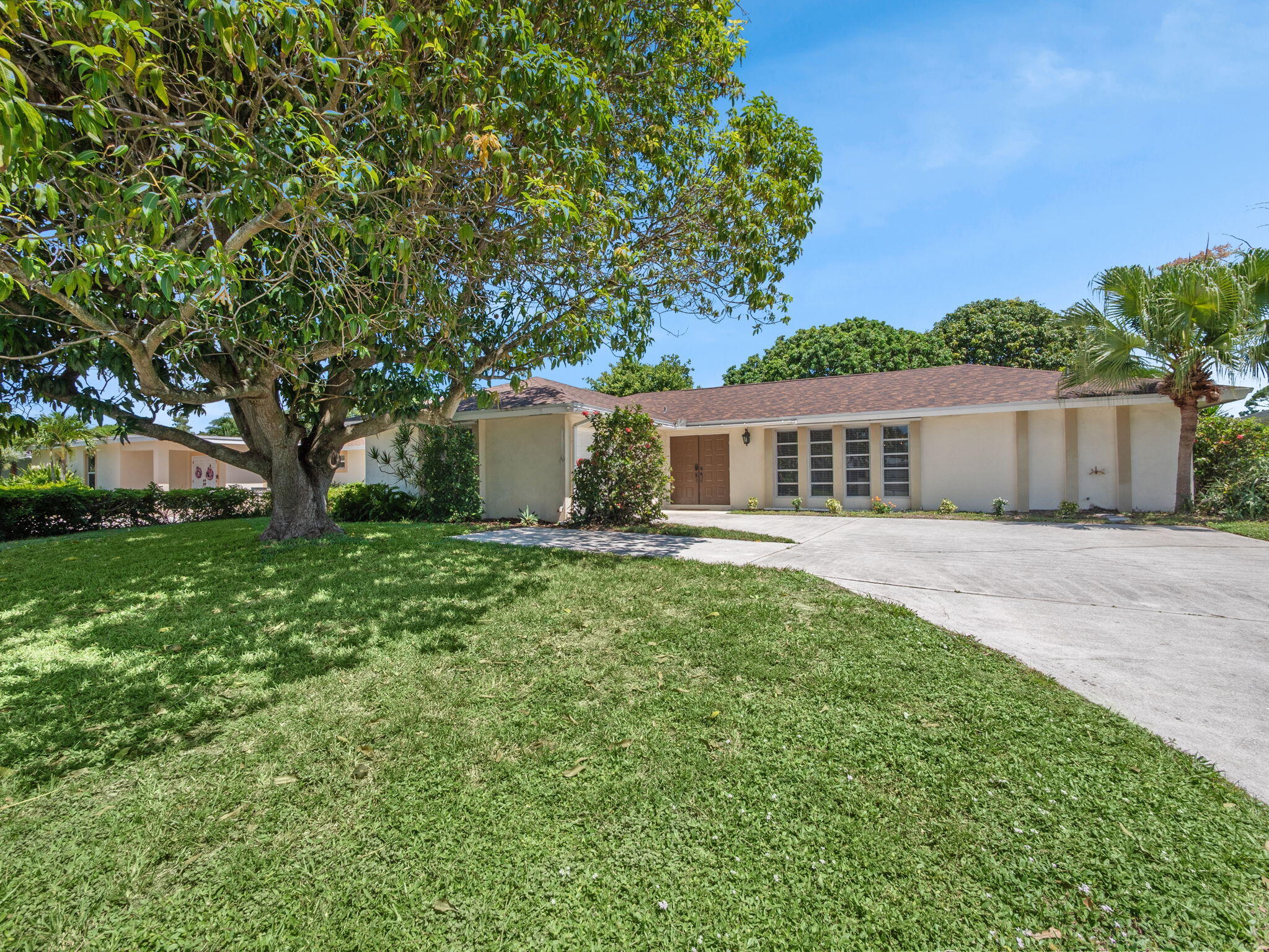 Single-story stucco home with a wide driveway beneath a large shade tree.