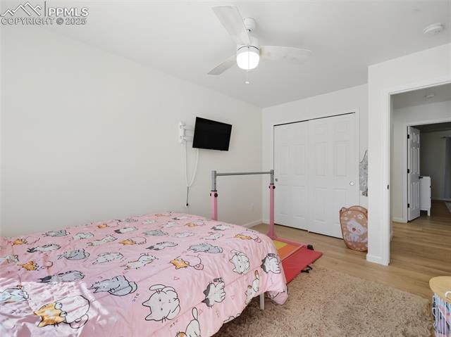 6871 Red Cardinal Loop