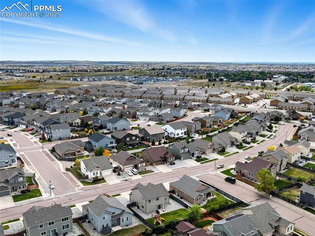 6871 Red Cardinal Loop