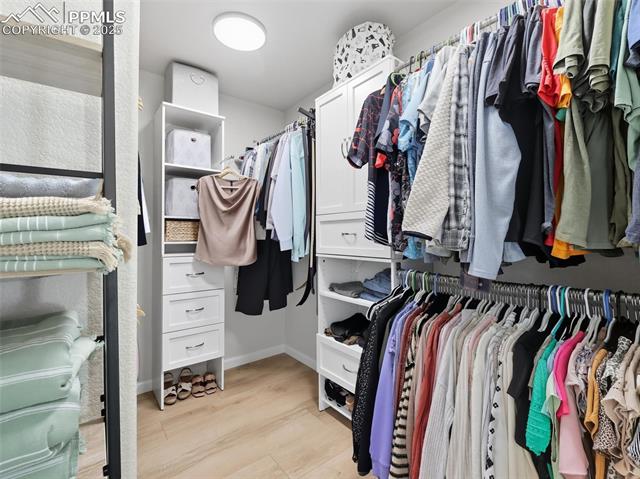 6871 Red Cardinal Loop