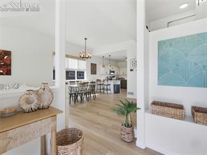 6871 Red Cardinal Loop