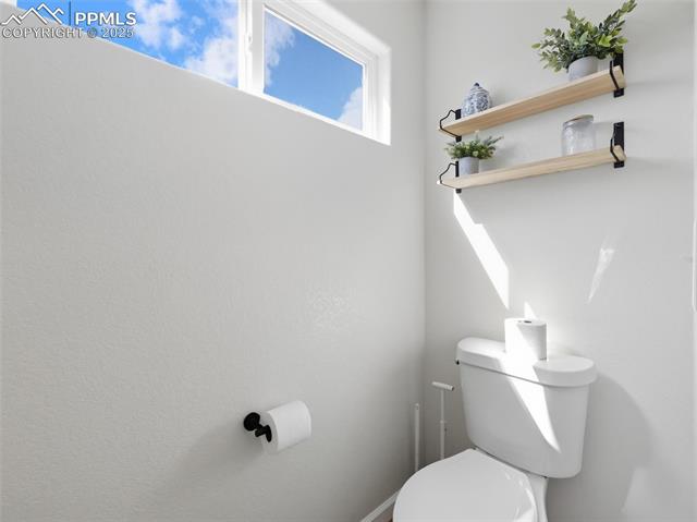 6871 Red Cardinal Loop