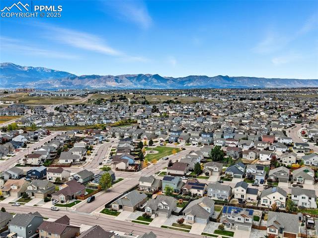 6871 Red Cardinal Loop