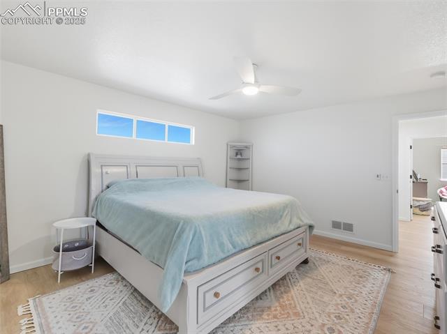 6871 Red Cardinal Loop