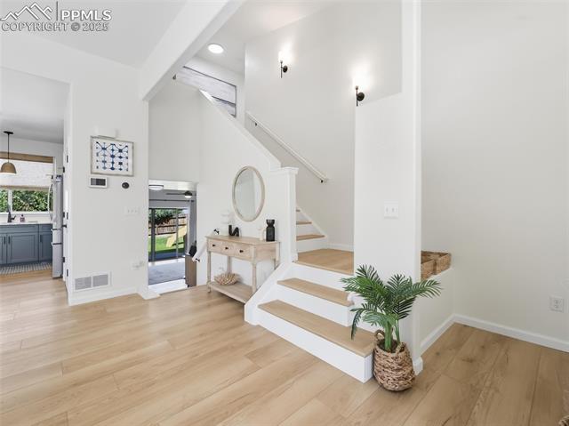 6871 Red Cardinal Loop