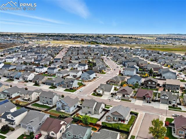 6871 Red Cardinal Loop