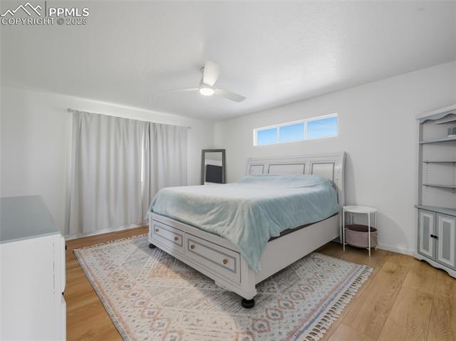 6871 Red Cardinal Loop