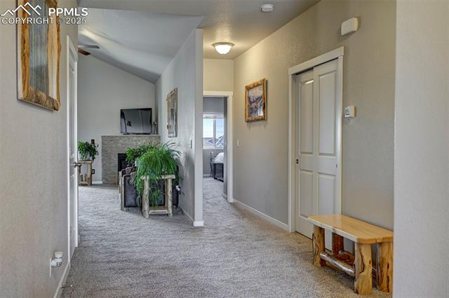 10031 Henman Terrace