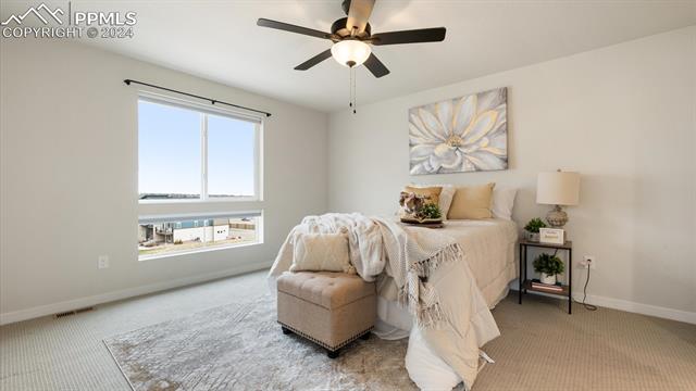 2467 Zorro Heights