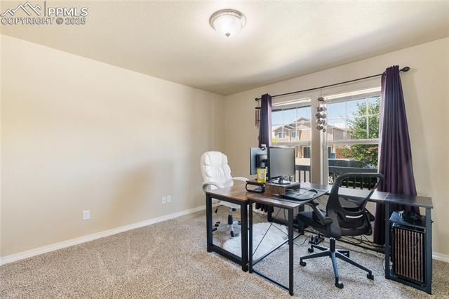 9515 Sand Myrtle Drive