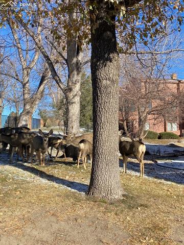 4754 Daybreak Circle