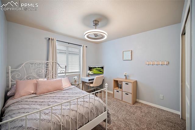 6160 Wood Bison Trail