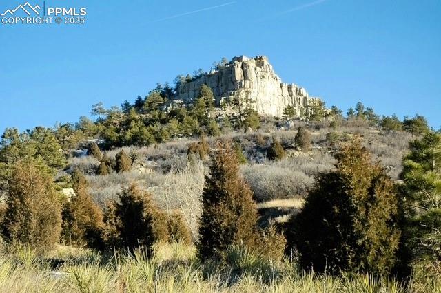 959 Pulpit Rock Circle