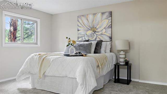 959 Pulpit Rock Circle