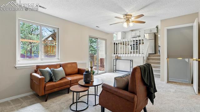 959 Pulpit Rock Circle