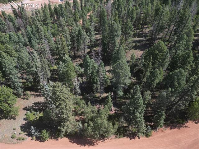 437 Sunset Lane