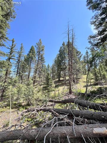 437 Sunset Lane