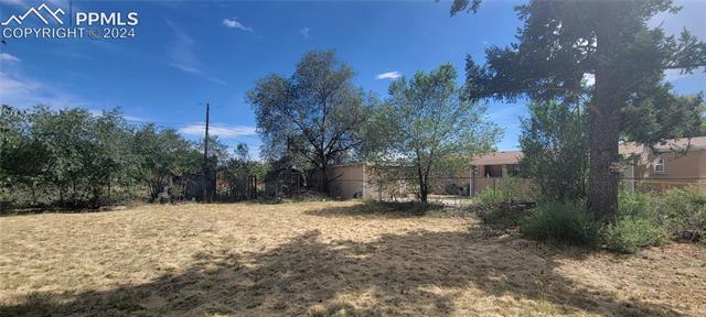 1311 Forest Road